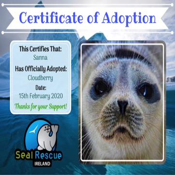 Cloudberry Cert.jpg